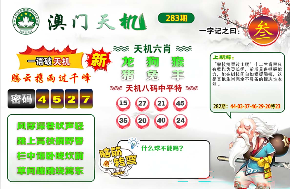 澳门天机参考图
