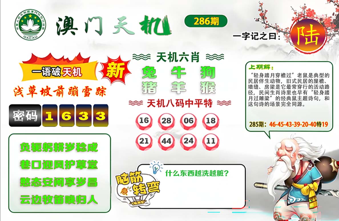 澳门天机参考图